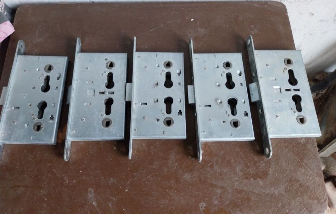 Broasca ingropata ptr.usa