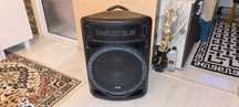 Woofer M -FLEX SXP 310 W = 600 lei