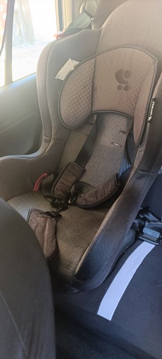 Стол за кола Lorelli Jupiter (0-25кг)