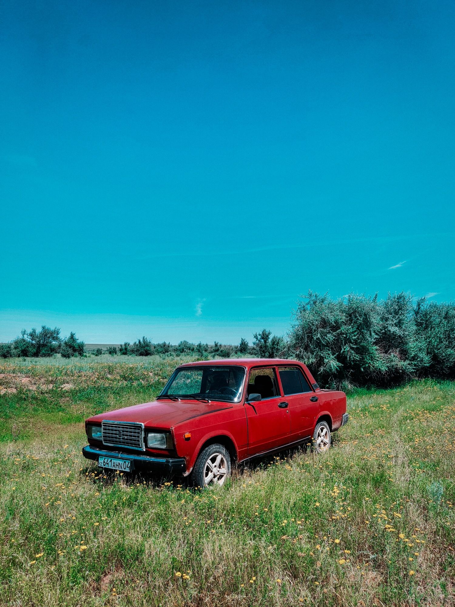 2107 Жигули 2006