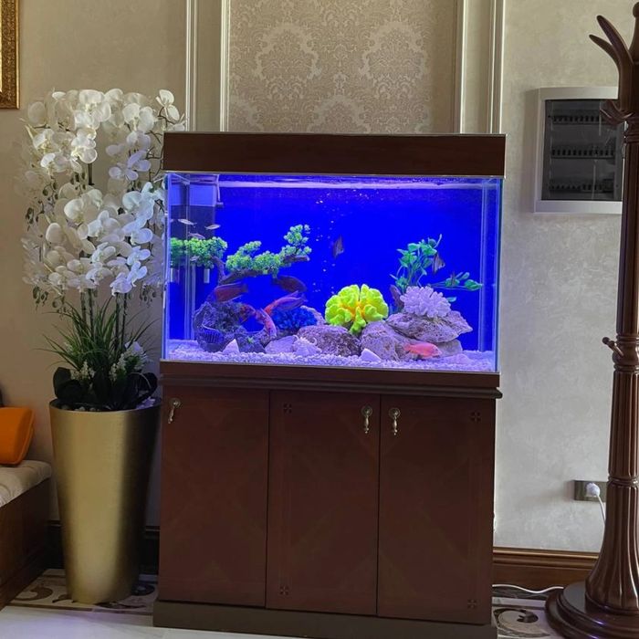 Akvarum va aksasuvarla kere bisa 24/7 murojat qivurila