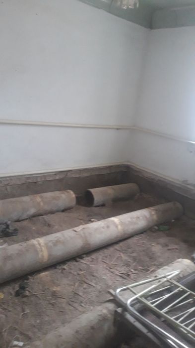 Усы затлардын бари сатылады