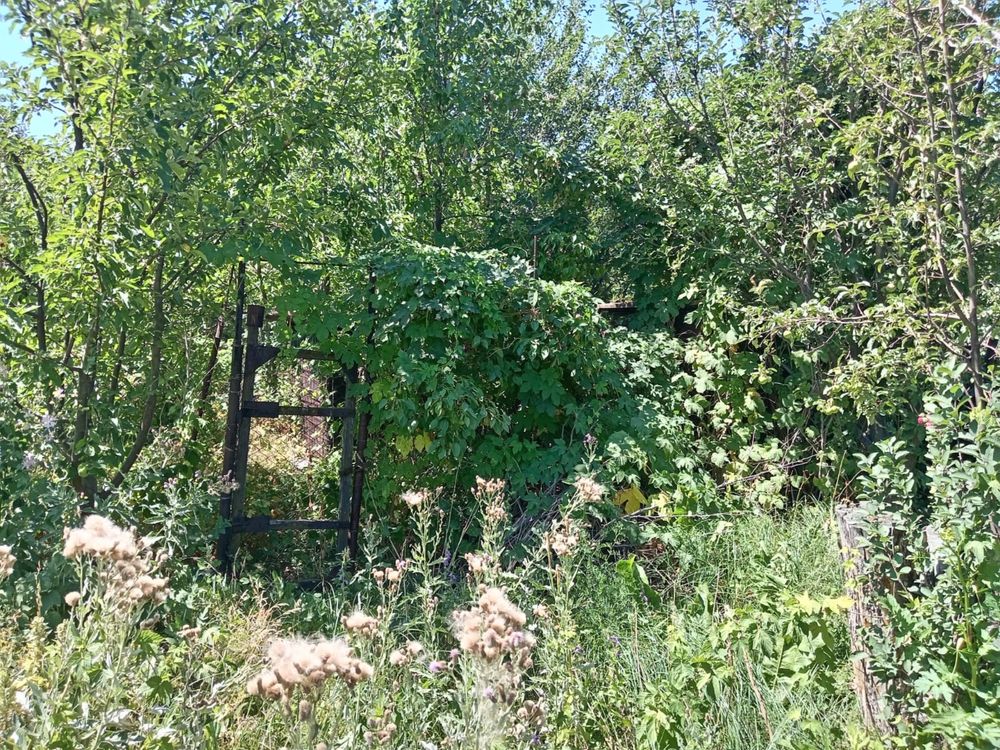 Продам дачу в городе Текели