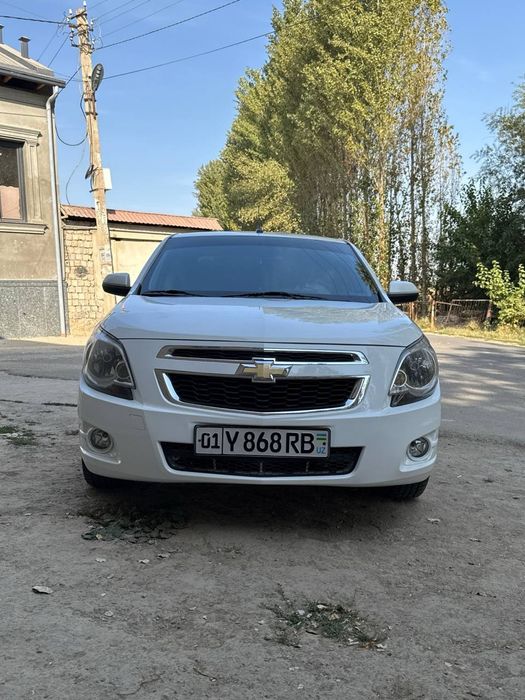 Kobilt sotiladi 2023 toza