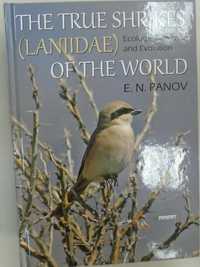 The True Shrikes (Laniidae) of the World Ecology, Behavior and Evoluti