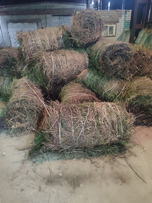 сено в мини рулонах в центре города!