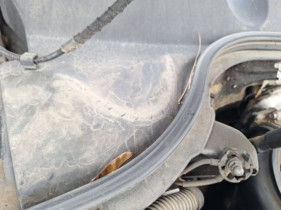 VOLKSWAGEN PASSAT Variant 3C5 2008 1.9 TDI BLS 77KW|105HP 2008