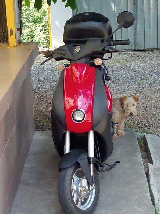 Vand moped Manet Korado 49 cmc  sau scuter Peugeot Ludix One  50 cmc