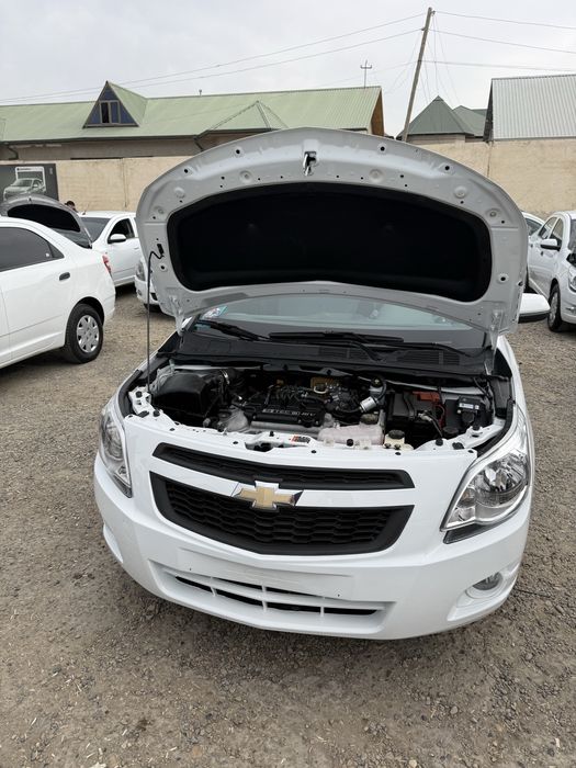 Cobalt 2 pazitsiya rang Oq kriditam bo’ladi