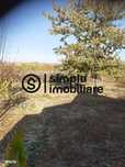 Casa Bradesti, teren 1239 mp - 29 995 Euro