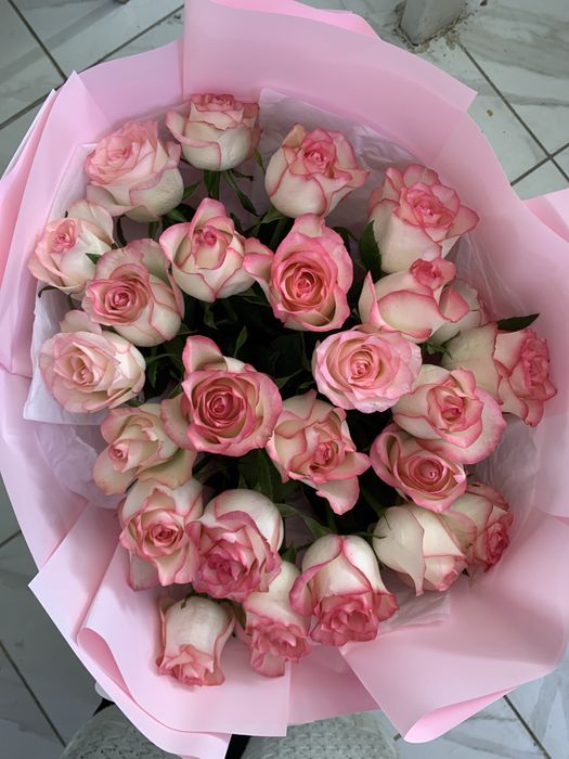 Роза цветы 25 штук голланская роза