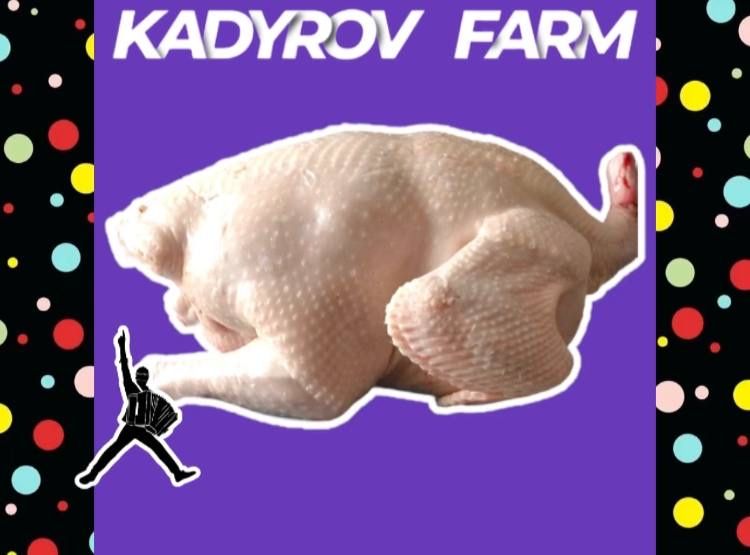 Сочное мясо индейки для гриля и барбекю