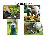 Услуга садовника богбон