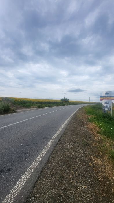 Oportunitate de investiție-Teren Horlești/Rediu 4,6 Ha