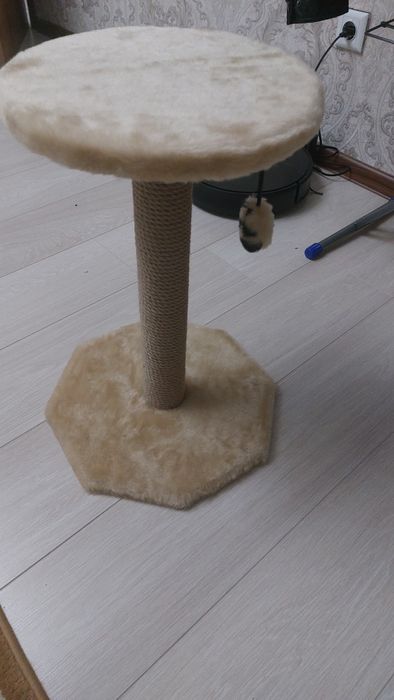 Когтеточка новая