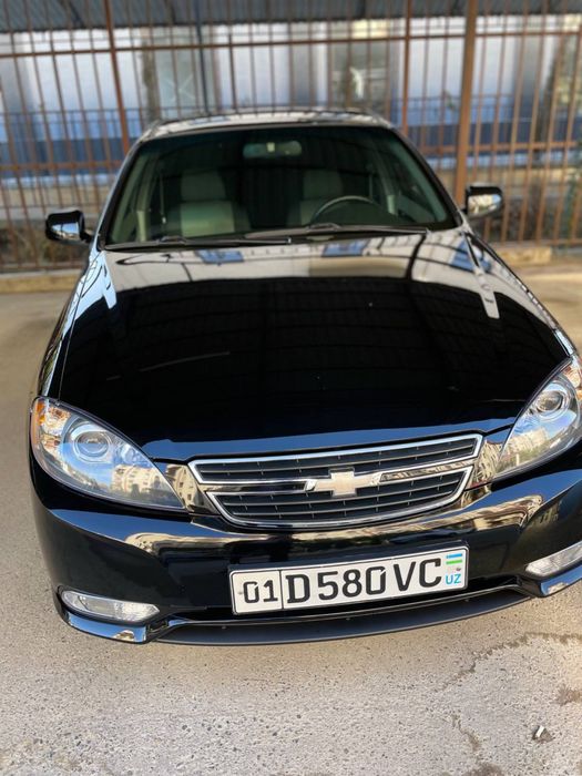 жентра кора 2023 24