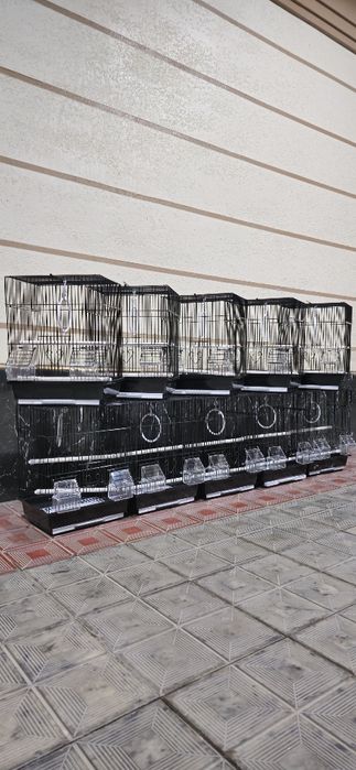 Клетка стандарт black edition