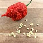 Seminte Carolina Reaper Rosu, Orange sau Peach