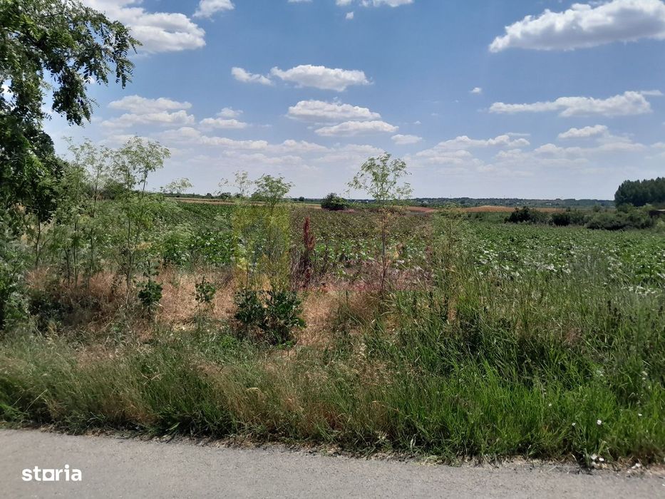 Teisori /Gr - 2 Loturi Lipite (Tot. 16500 Mp) De Vz 100K Eur Neg