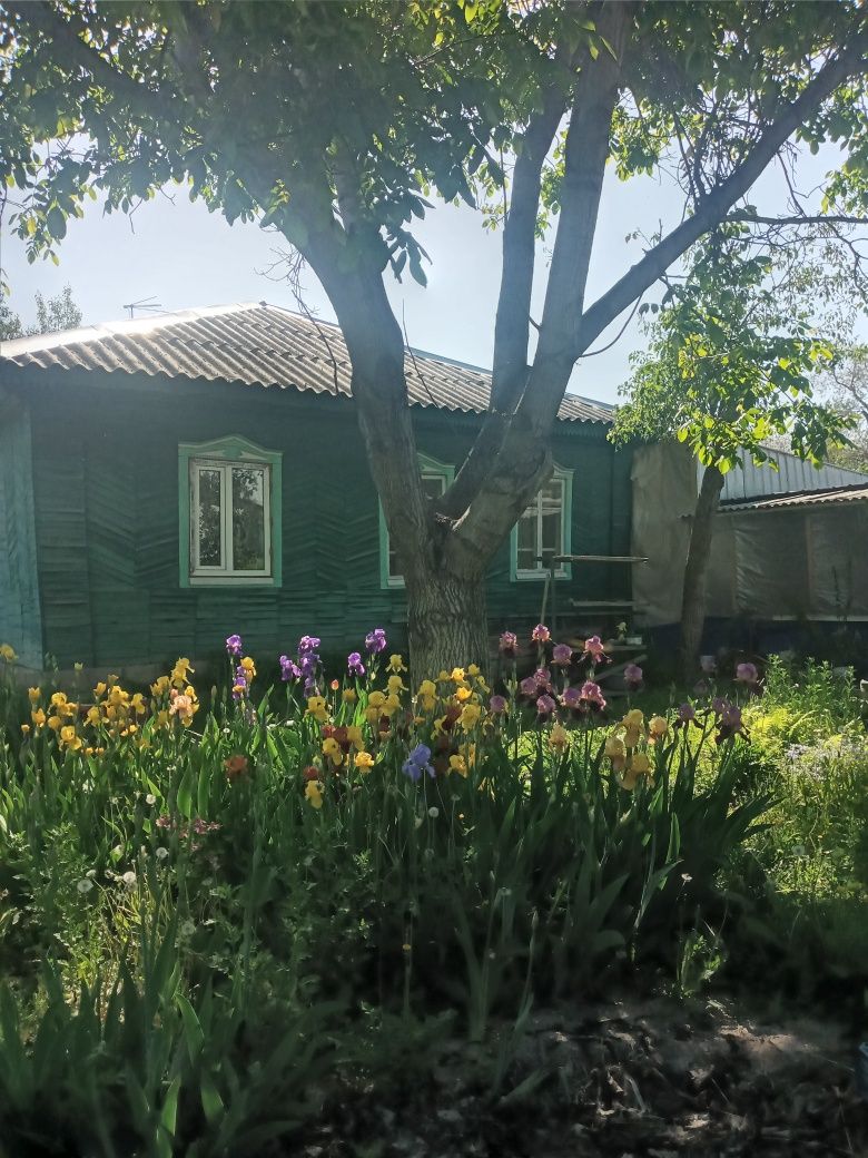 Продам дом 85кв.м с участком  18 соток в пригороде