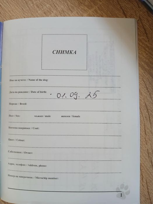 Куче немска овчарка