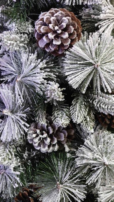 Коледно дърво ..