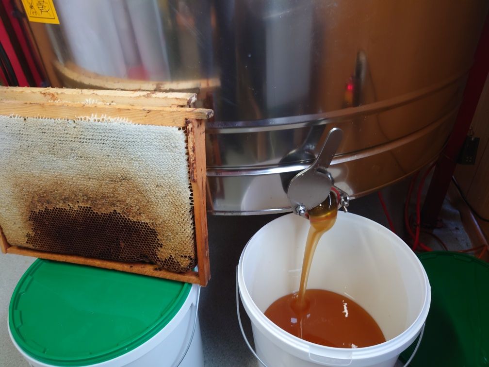Мёд от пчеловода, с пасеки, алтайский.