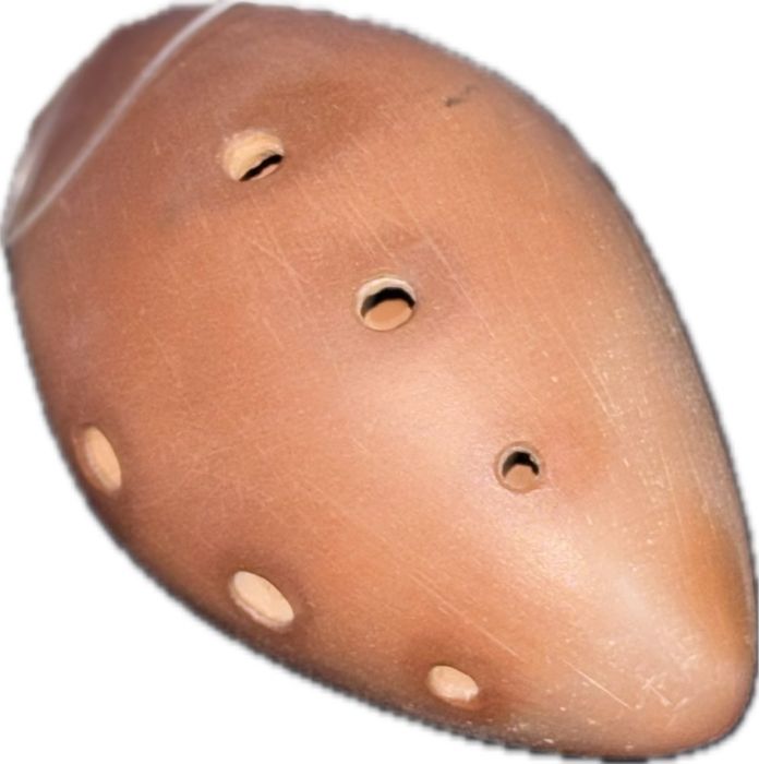 Сазсырнай онлайн: индивидуальные занятия для всех