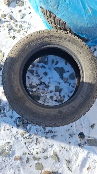 Продам шины буу Cardiant 15р