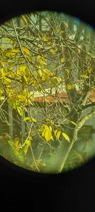 Binoclu militar IOR 7X40 din 1976 IOR 8x30