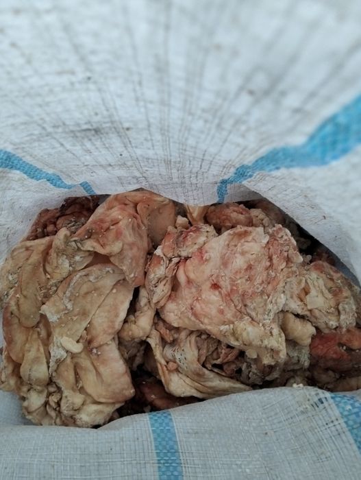 Отдам пол мешка говяжьего жира