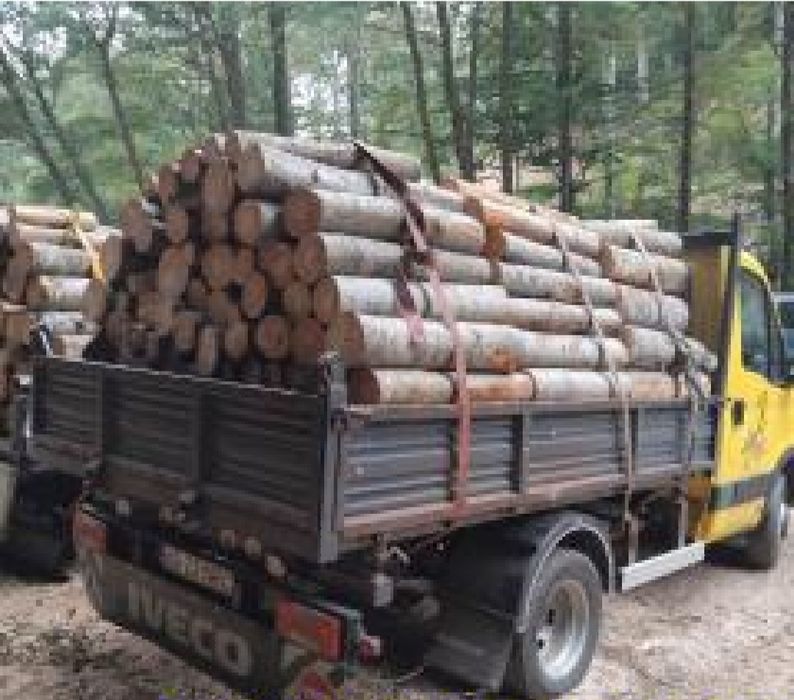 Vând lemn de foc exență tare transport gratuit ori  unde in țară