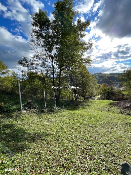 Vânzare teren Provita de Jos: 2301 mp, centru