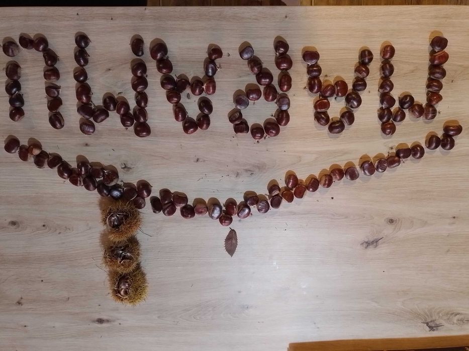 Castane din Maramures din varful muntelui !!!