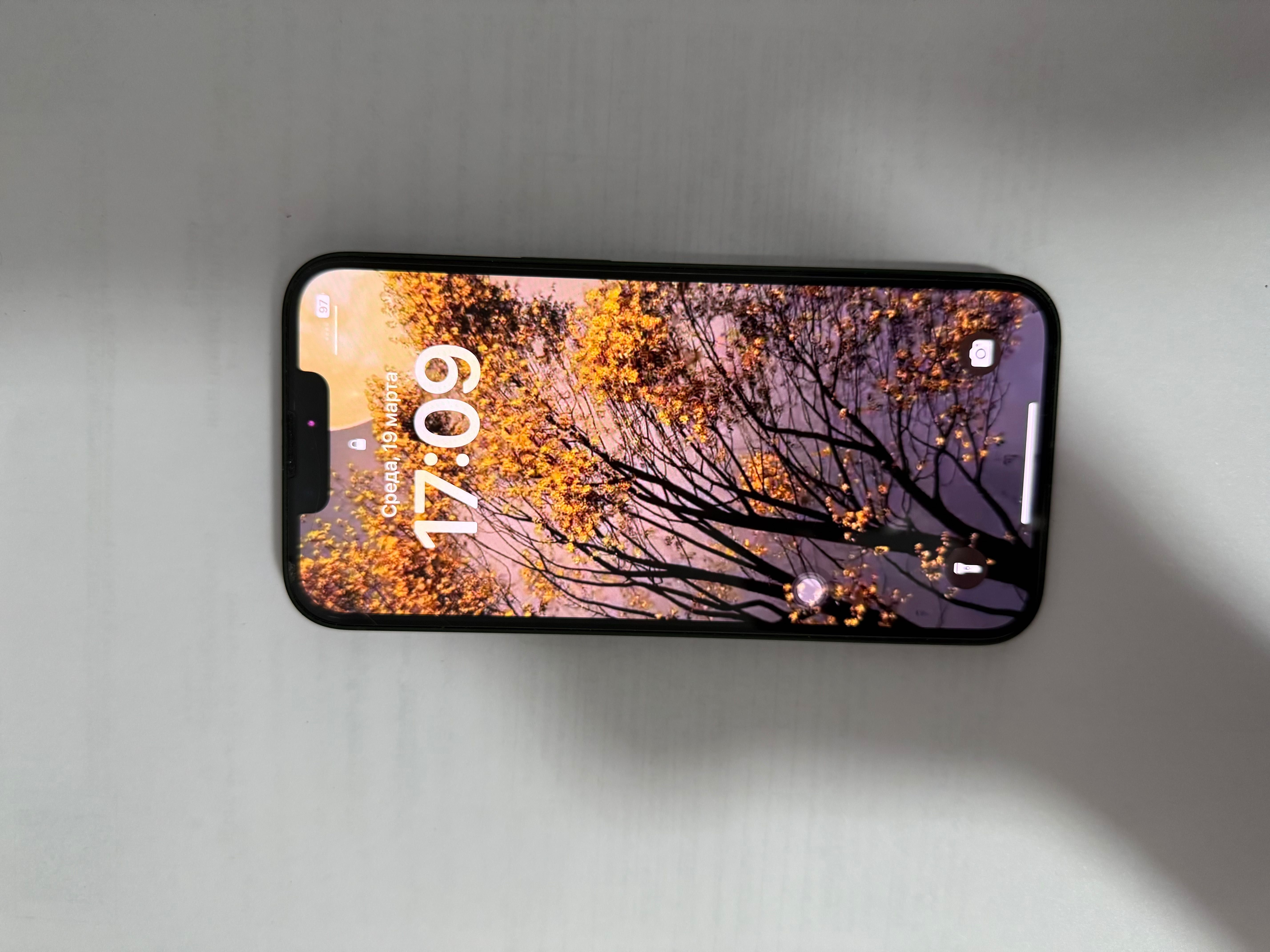 iPhone 13. Зеленый