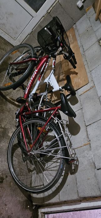 Biciclete import Austria
