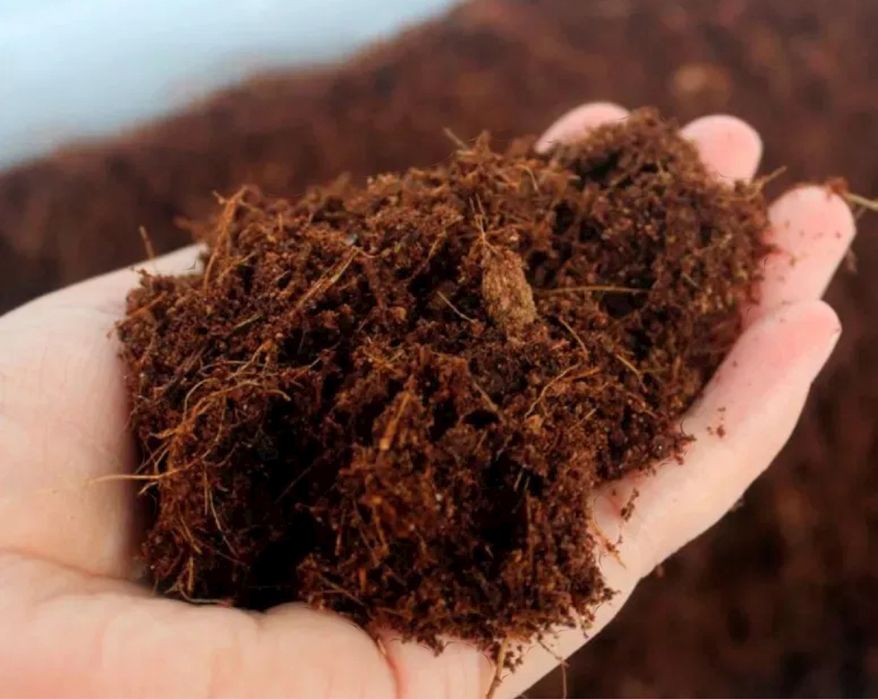 kokopit, kokosoviy torf, sifati zór