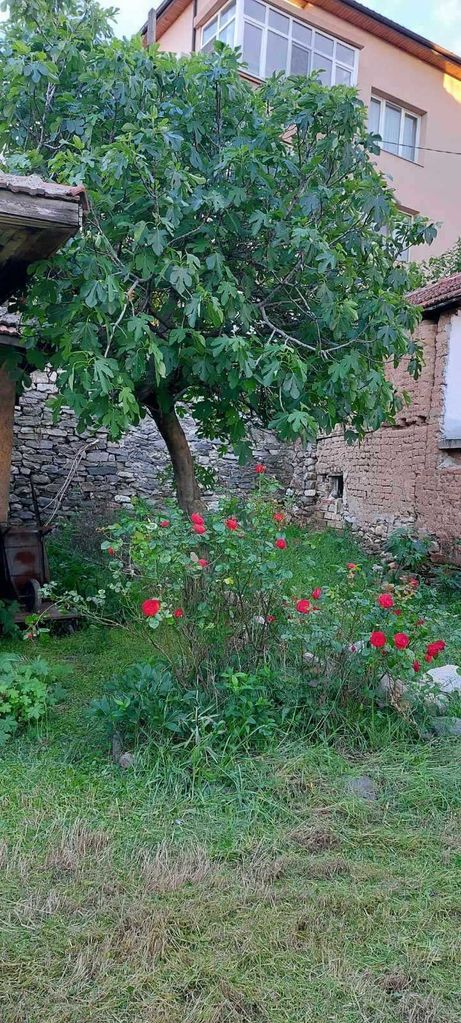 Продава се Къща в Асеновград - 74 кв.м за 827 €/кв.м - Снимка #1