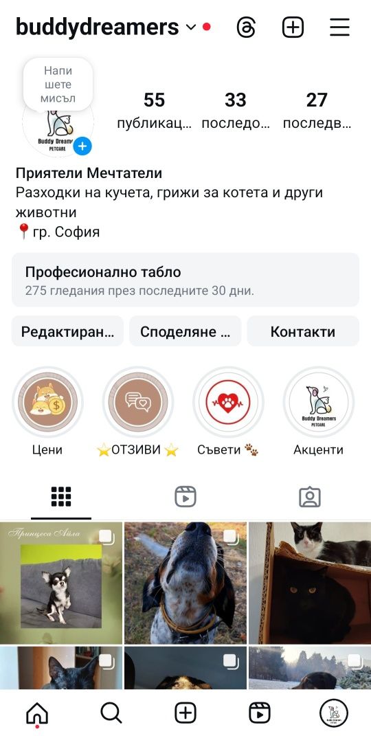 Разходка на кучета, грижи за котки и други домашни любимци. Цени.