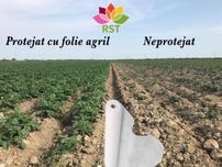 AGRIL folie microporoasa anti-inghet 23g/mp