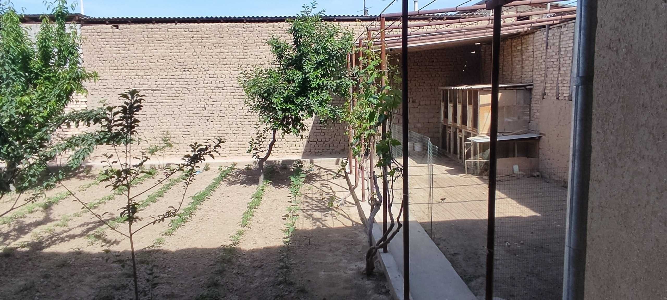 yer sotiladi 3 sotix algaritim betonkadan 2km kirganda