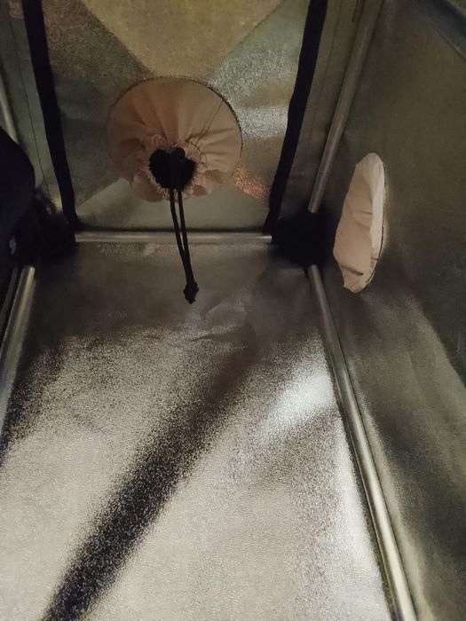 Продаётся Growbox с подарками внутри