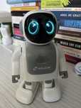 Robotelul Robert