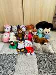Jucarii copii plush