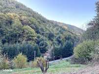 Teren pentru casa de vacanta pe Valea Bratcutei, Bihor