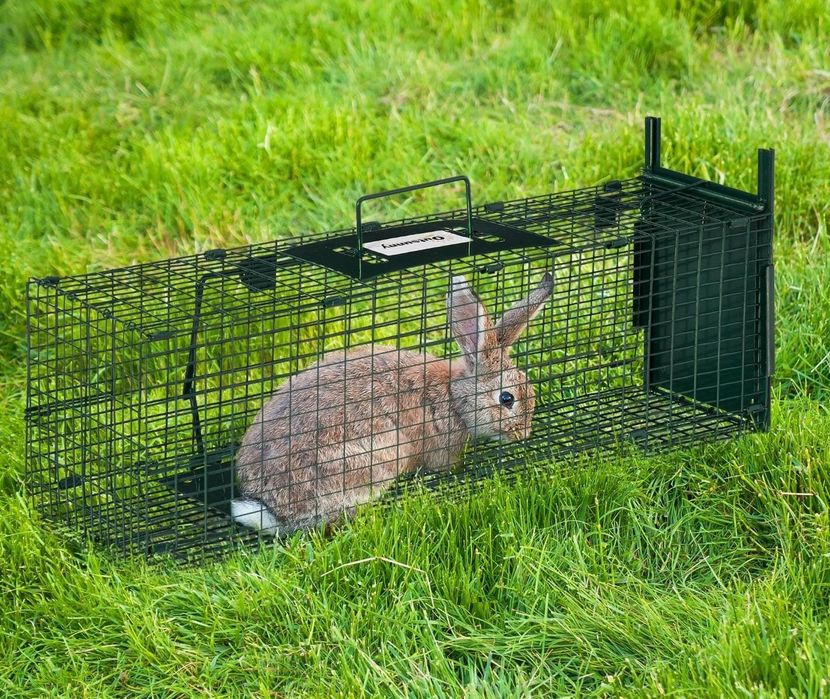 Vând cușcă pt animale mici