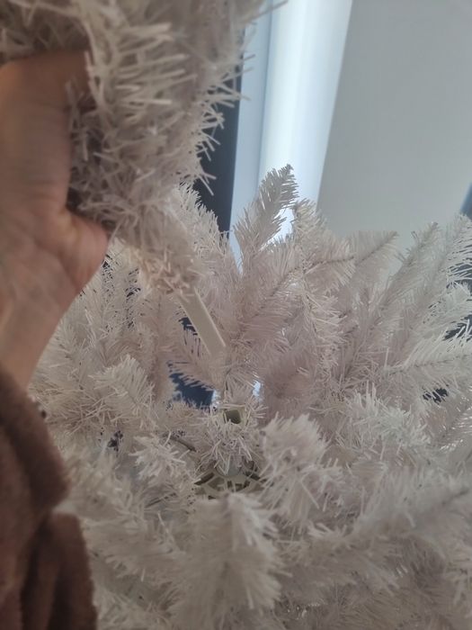 Brad Alb, mare – Preț redus!