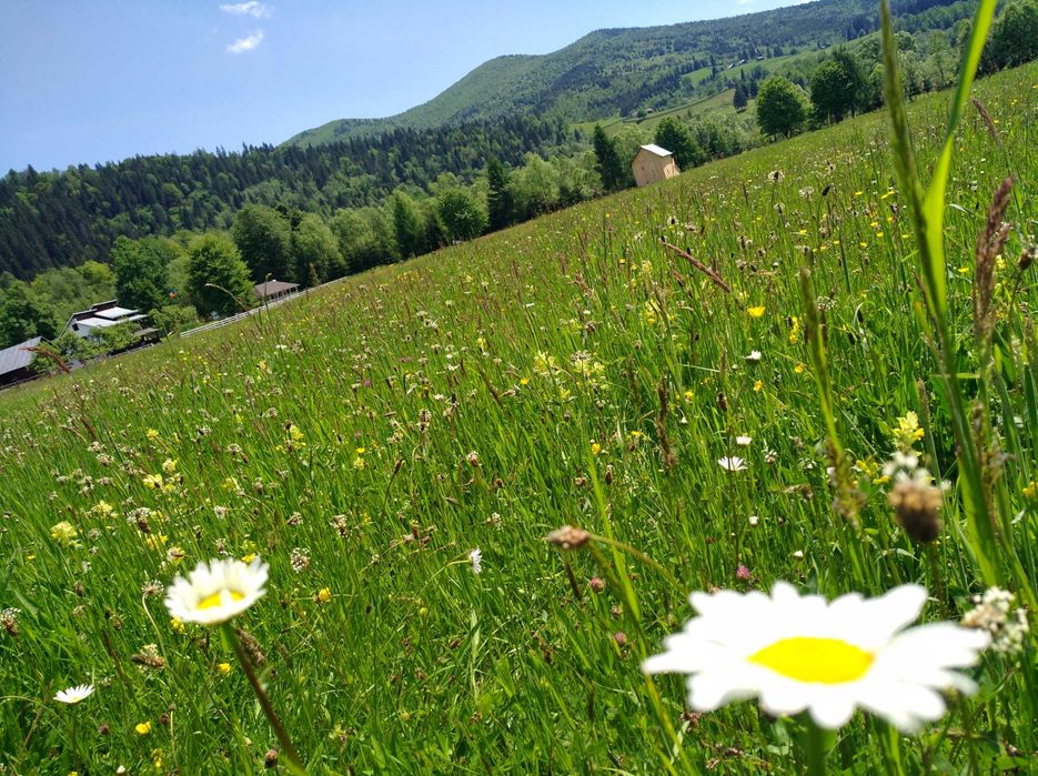 Cabana La noi in Bucovina