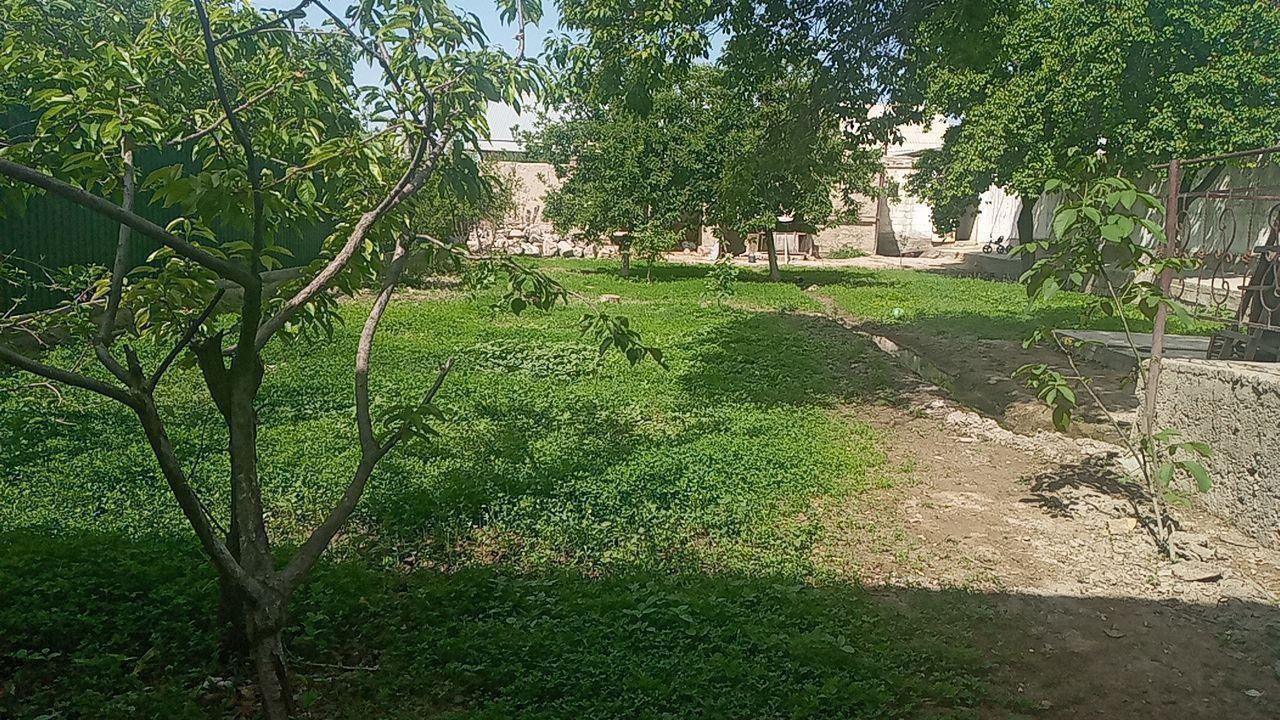 Xovli sotiladi  eski shaharda