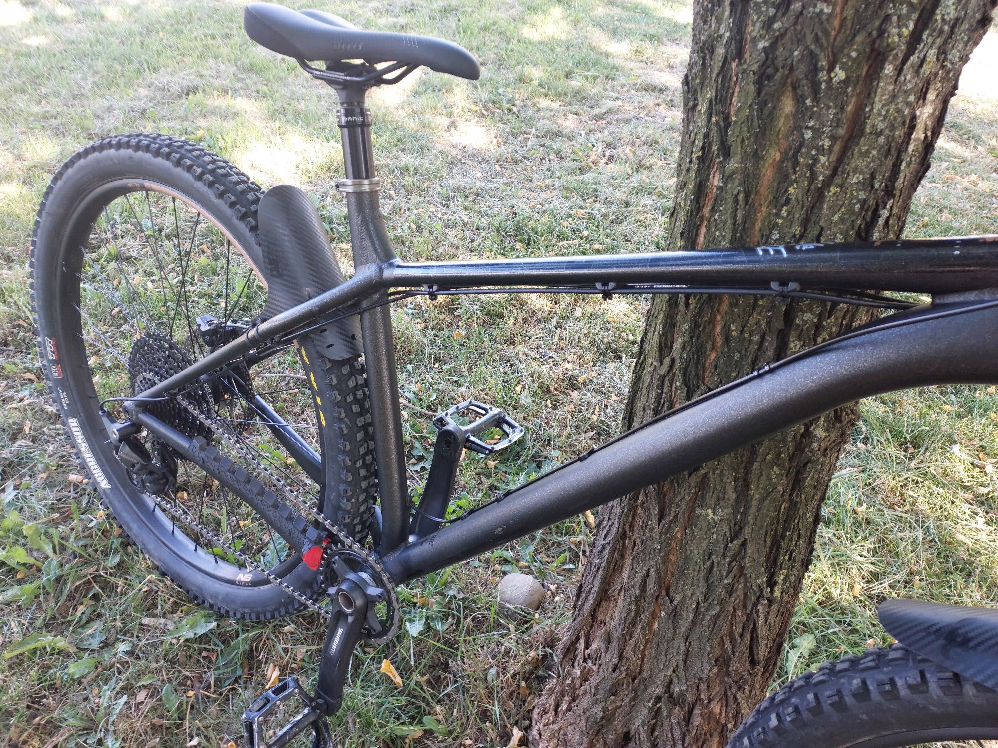 Hardtail NS Eccentric Alu 29